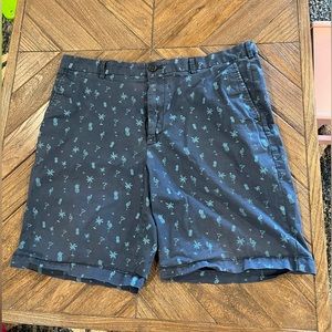 Izod Saltwater Shorts